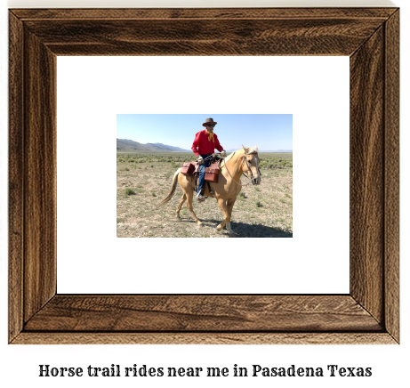 horse trail rides near me in Pasadena, Texas